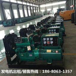 昌都發(fā)電機(jī)出租銷(xiāo)售公司的技術(shù)服務(wù) 為高原供電保駕護(hù)航
